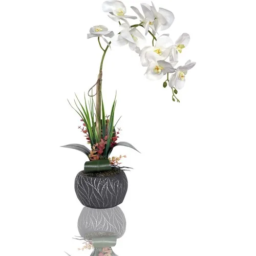 Bappay דקורטיבי סדרה אמיצה לבנה של אספנות מים מלאכותיות – תיאור, שימוש והמלצות מעשי