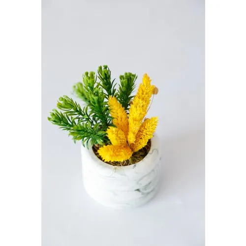 Besa Flowers Concrete Pots Pine Tree-Lined and Yellow Bird Herby Arrangement