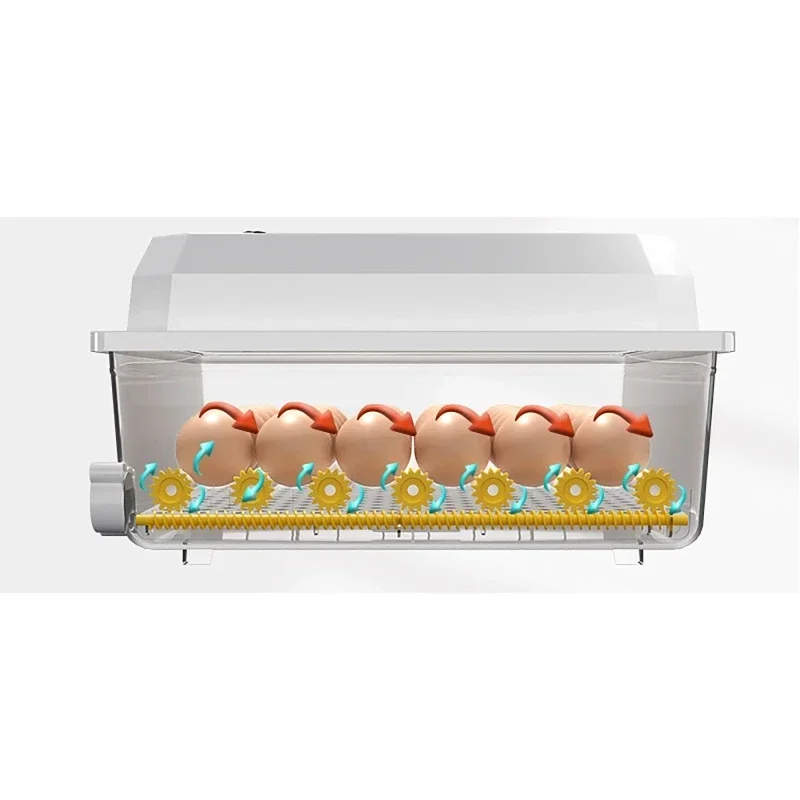 

16 Eggs Incubator With Drawer Type Dual Electric Egg Incubator With Automatic Water Ionic Replenishment Temperature Control