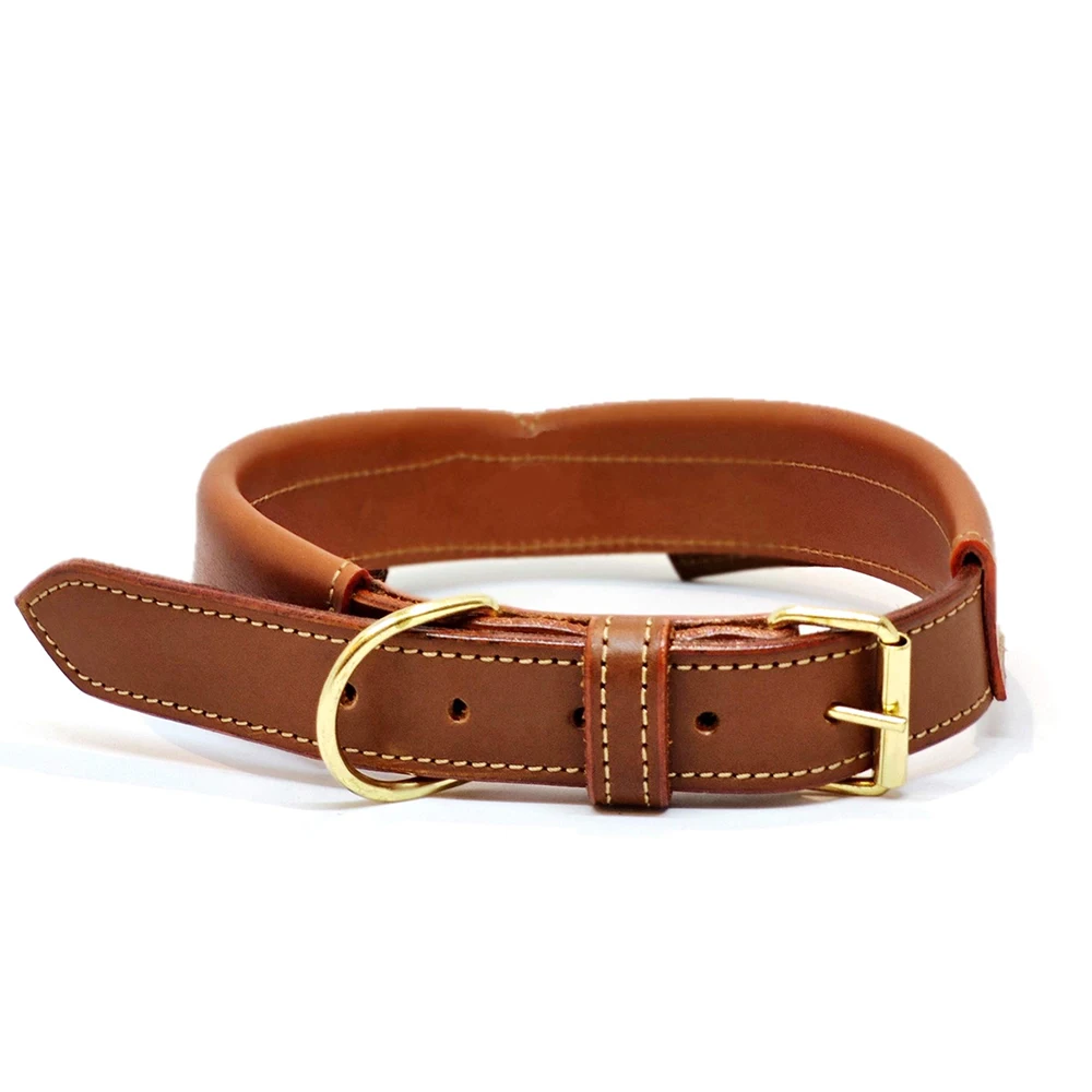 New Style Durable Adjustable Eco-Friendly Fiber Dog Collar Professional Agility Training Equipment Essential for Puppy Training