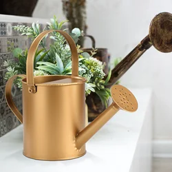 Watering Pot Vintage Bronze Plant Watering Cans to Watering Plants Lid for Cans Water Spraying Gardening Home and Garden Spray