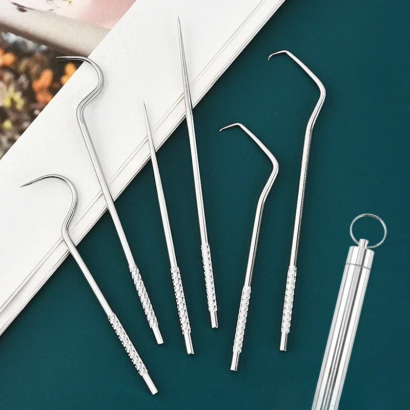 Toothpick Set Tooth Flossing Reusable Titanium Toothpicks Portable Stainless Steel Toothpick Floss Teeth Cleaner Oral Cleaning