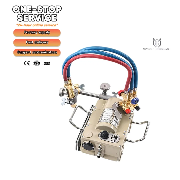 Customizable 220V 50HZGood Price High-Accuracy CG2-11 Pipe Cutting Machine with Servo-Motor Gas Cutter Machinery 14.5kg