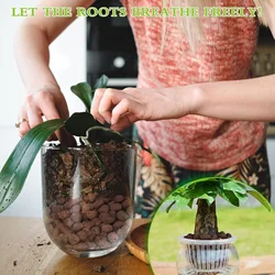1L Natural Expanded Clay Pebbles for Plants Hydro Balls for Aquarium Indoor Potted Plants Hydroponic Growing Clay Balls