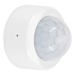 Bewegungs körper Sensor ZigBee 3,0 Tuya Mini Smart Human Motion Pir Wandler Smart Life Home Wireless Verbindungs licht