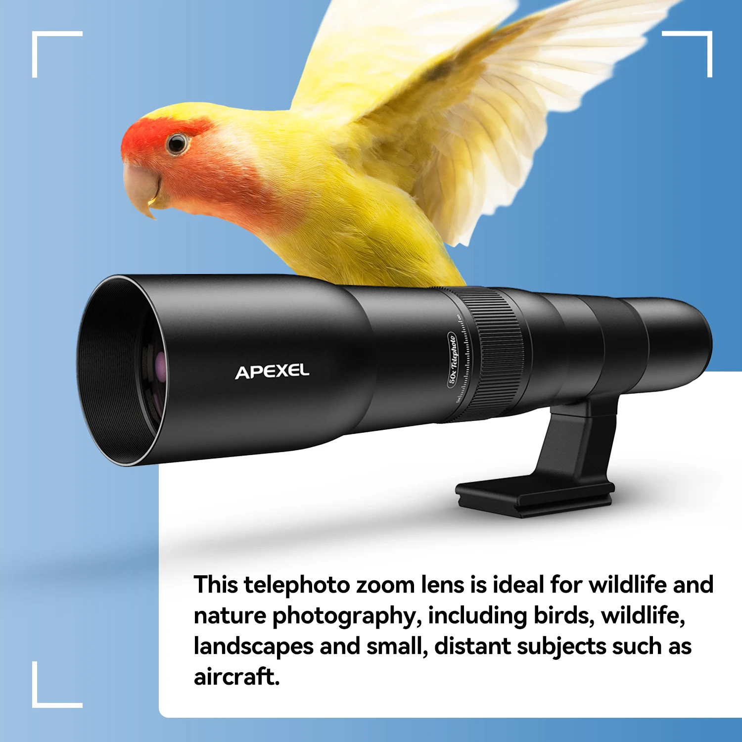 Apexel hd 50x ultra lente telefoto lentes telescópio profissional do telefone móvel com tripé de metal para observação de pássaros vida selvagem esporte