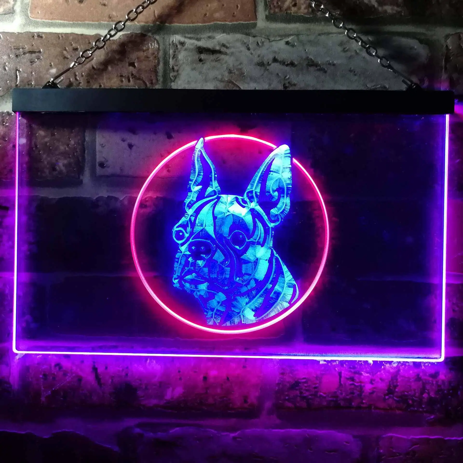 Boston Terrier Dog Pet Dual Color Led Neon Sign st6-i0656