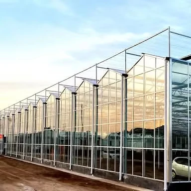 

Customized greenhouseComplete Glass Agricultural Hydroponic System Automatic Control System Multi-span Venlo Glass Greenhouse
