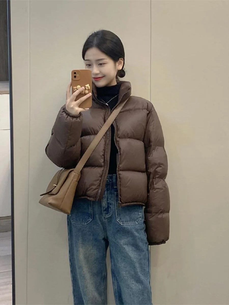

Женская зимняя утепленная куртка-пуховик с воротником-стойкой, на молнии, в корейском стиле, с длинными рукавами