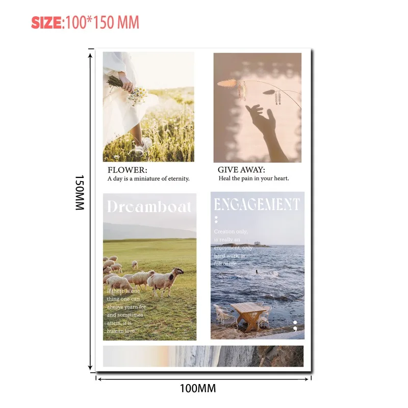 5 قطعة ملصقات المحيط خمر الحياة يموت قطع سكرابوكينغ عدة لمجلة الزخرفية الزهرة تصميم القرطاسية جراب هاتف Deacl #5