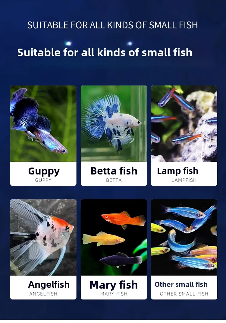 AMF Zebrafish, Guppy, Angelfish & Tetra Fish Food - Co-branded High-Nutrition Micro Pellets for All Small Tropical Fish view 6