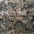 Mexican Camo