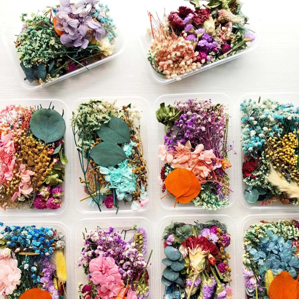 

3 Boxes Preserved Flower Manual Handmade DIY Dried Flowers Pressed Decor Aromatherapy Real