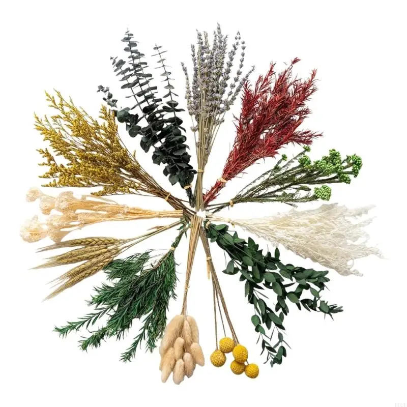 Natural Preserved Blooms Bundle Bouquet With Lavender Wheat Soft Tail For Vase Arrangement Table Display Party Supplies B03E