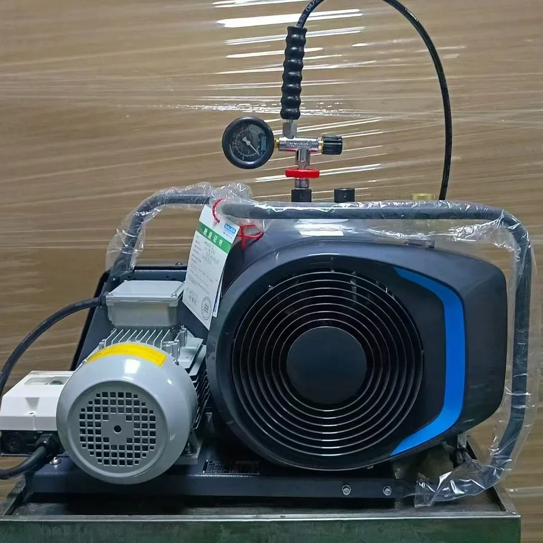 Cheap And Fine Hot Sales Air Respirator/Resuscitator Air Pump Fire 100L Air Compressor Filling Pump
