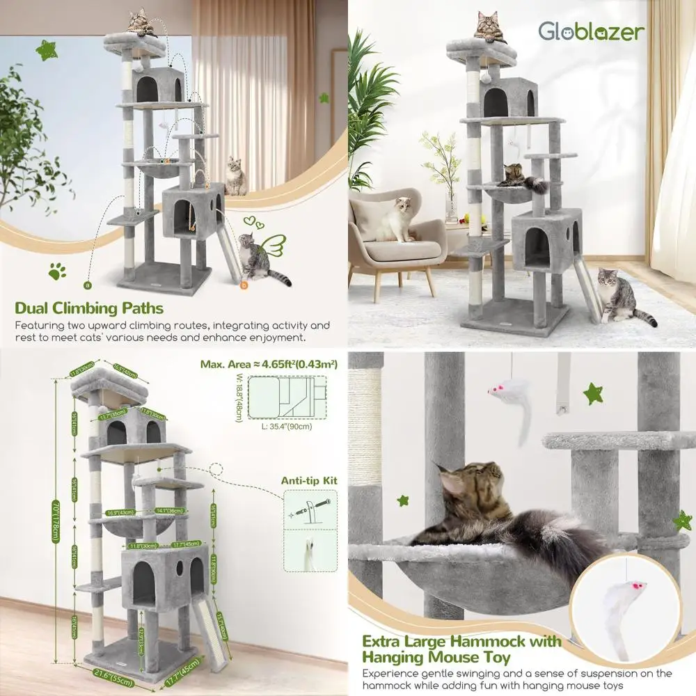 Sturdy 70 Indoor Ca… - image