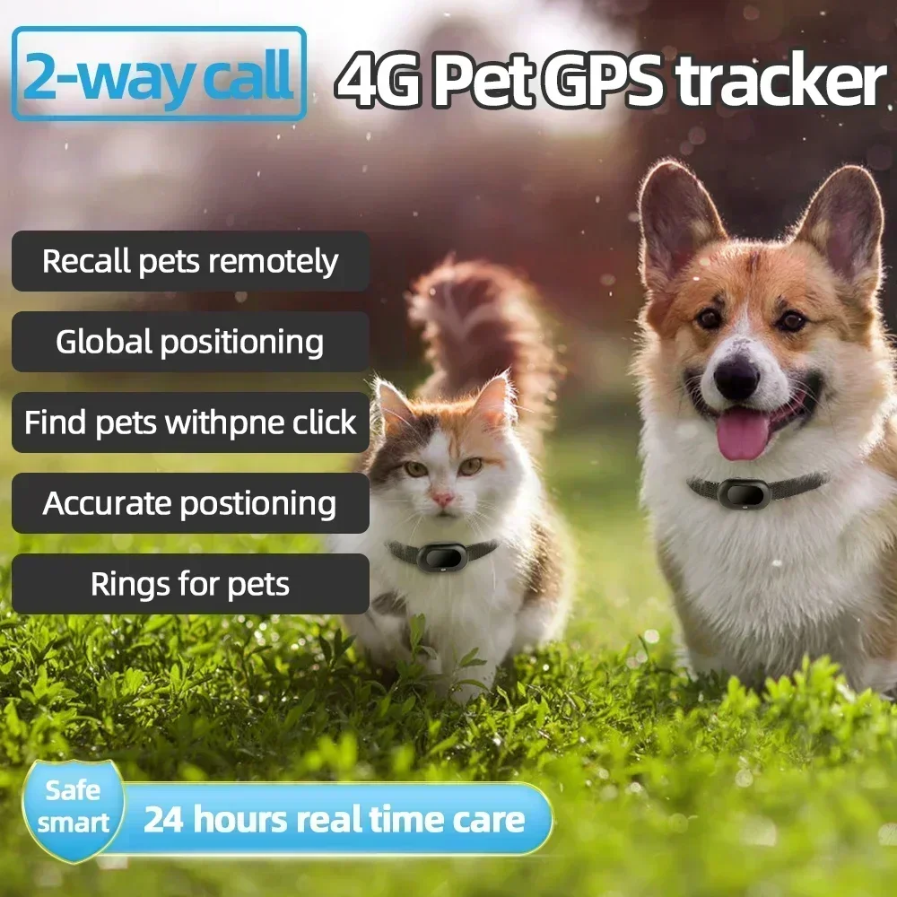 Rastreador de mascotas 4G LTE 2G GSM, el mejor localizador de perros con aplicación gratuita, Mini GPS, dispositivo de seguimiento de mascotas,