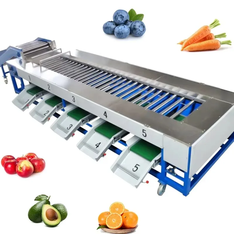 Commercial Fruit and Vegetable Size Sorter for Avocado Tomato Apple Mango Melon Potato Classifier Grading Machine