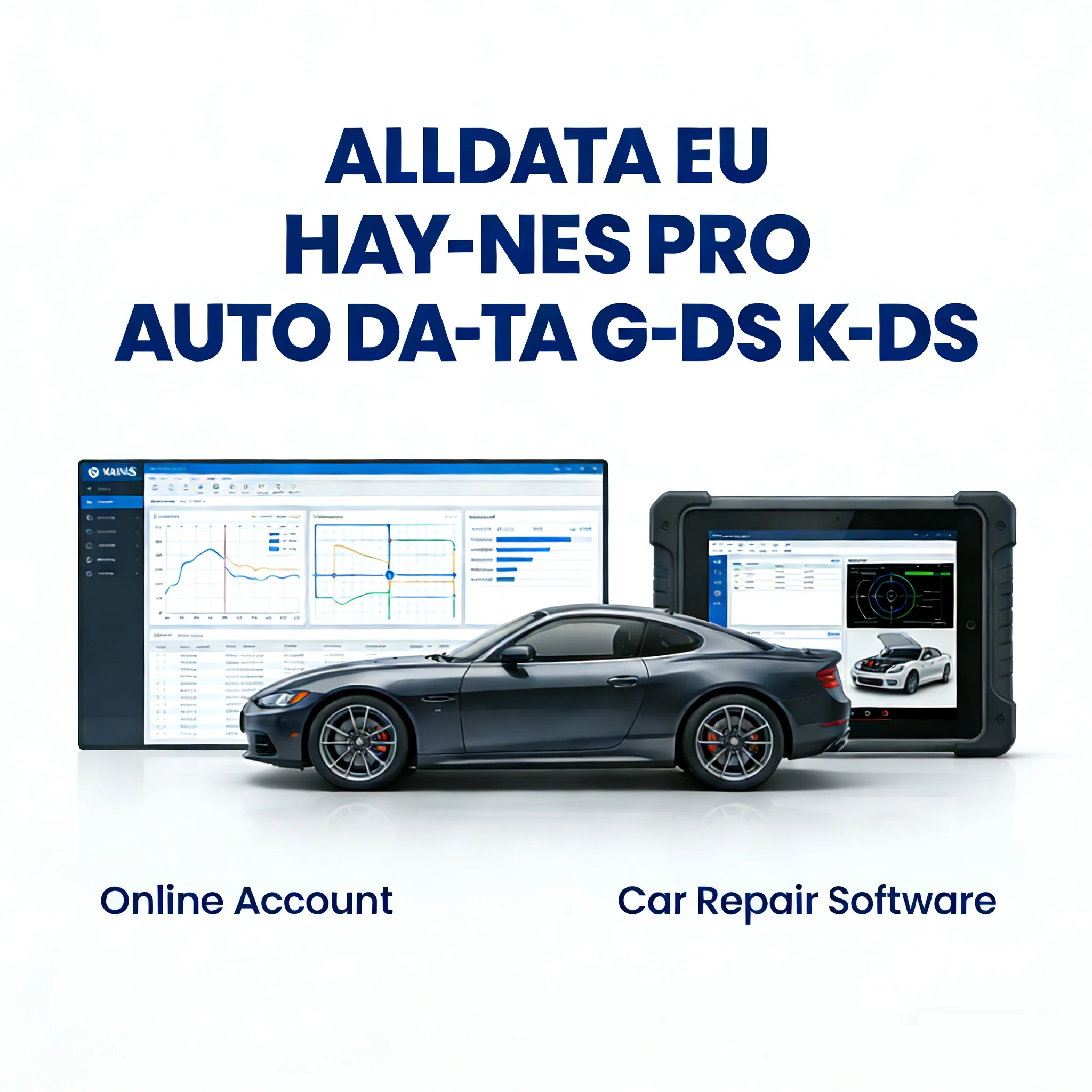 Alldata Newest Online Software Hay-nes Pro G-DS K-DS AU TODATA ALLDATA EU Data Repair Wiring Diagram Software Support Mobile /PC