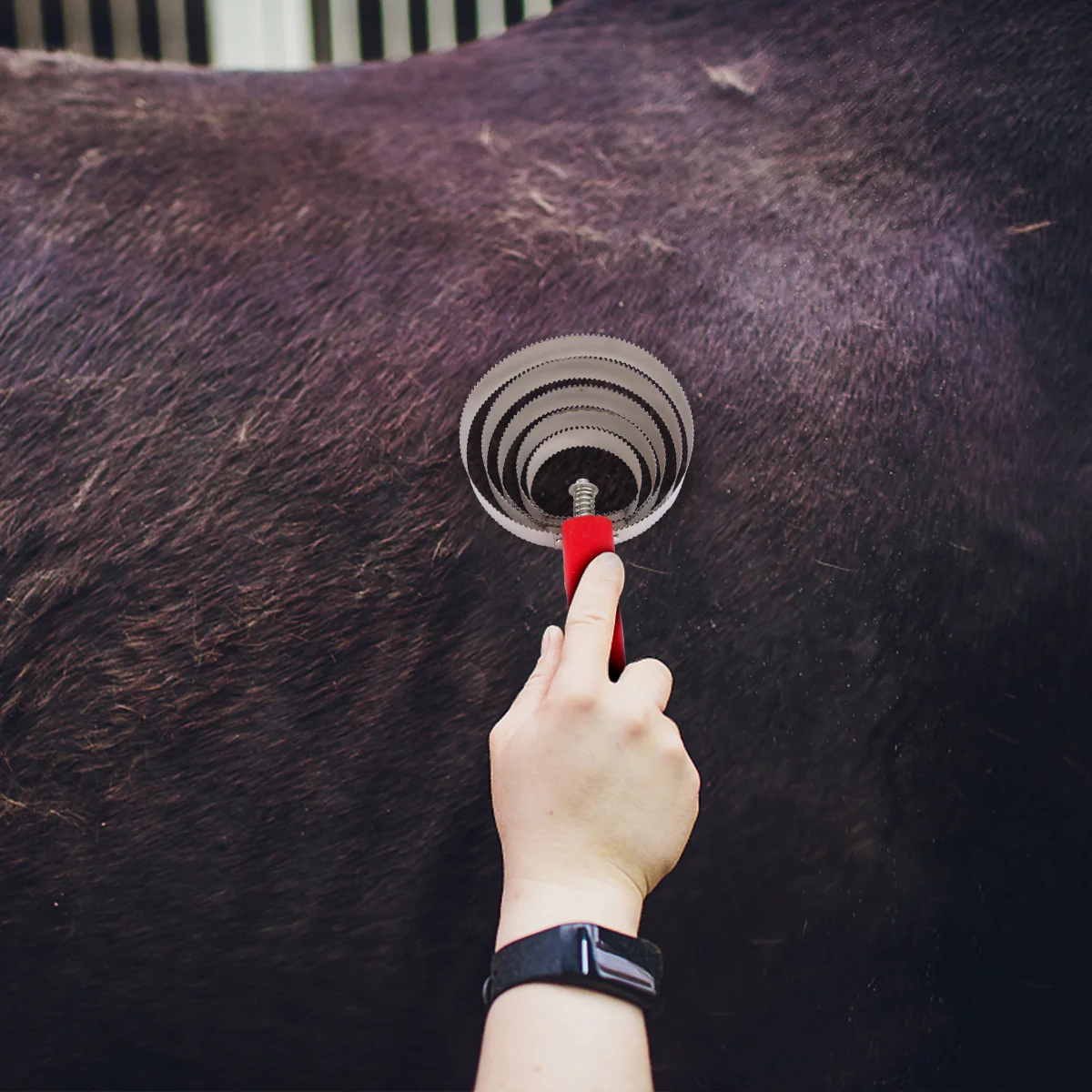 1 قطعة فرشاة حكة الماشية مقبض بلاستيكي تصميم مريح سهل التنظيف الحصان تساقط مشط مستلزمات الحيوانات الأليفة فرشاة تساقط الشعر #3