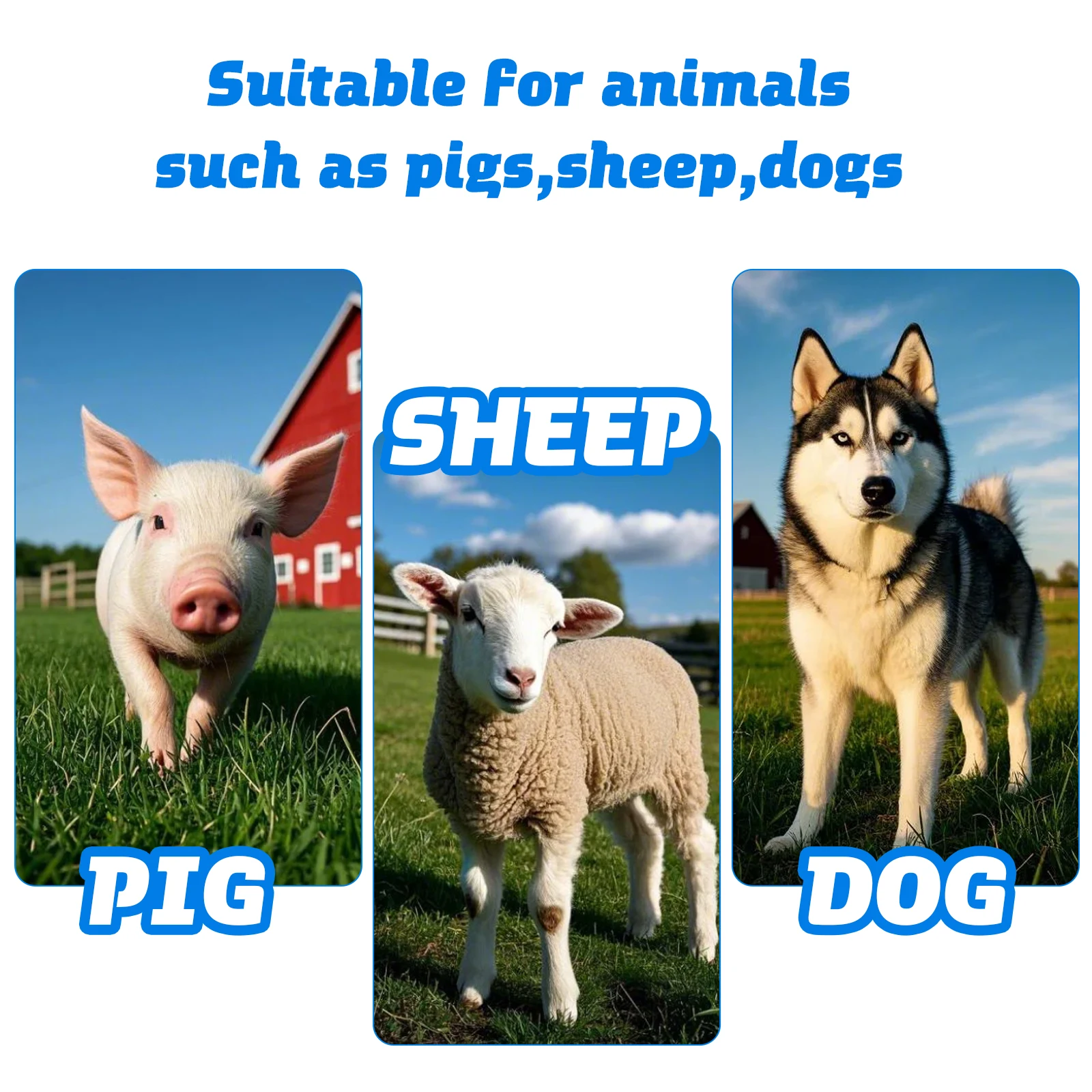 1 قطعة الفولاذ المقاوم للصدأ T-نوع خنزير الماسك القطب ، سلك حبل الثقيلة الحيوان الصيد لاسو مع مقبض لمط ، للماشية المزرعة #6