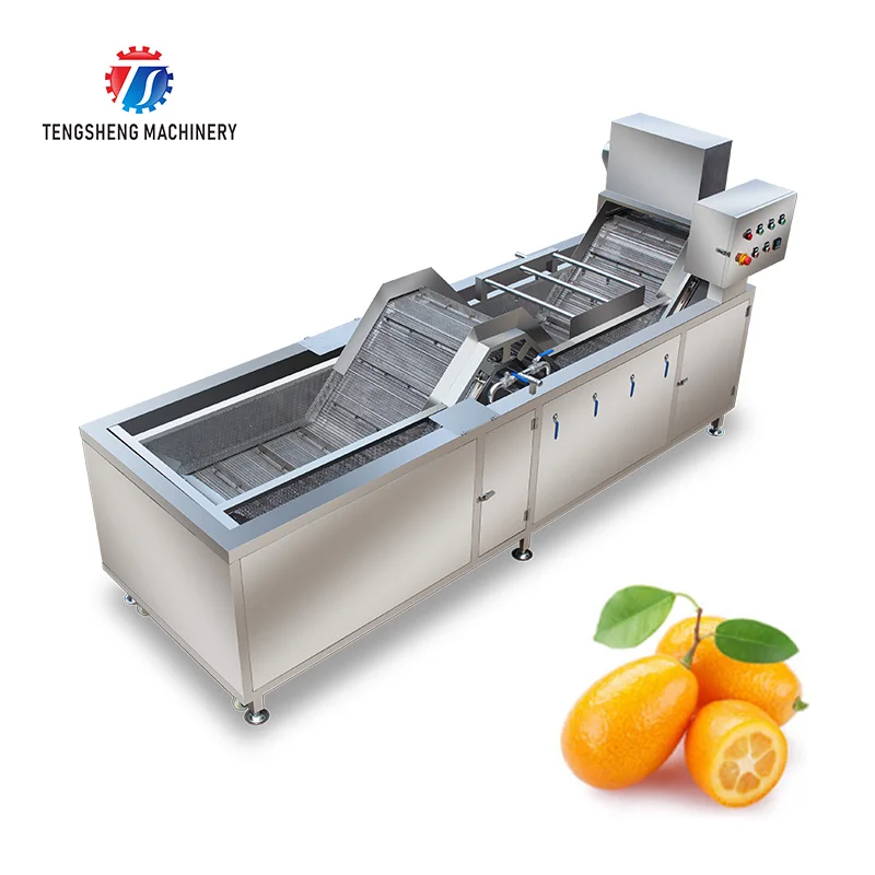 Green Bean Washing Blanching Washing Line Fruit And Vegetable Blanching Machine Commercial Processing Equipment
