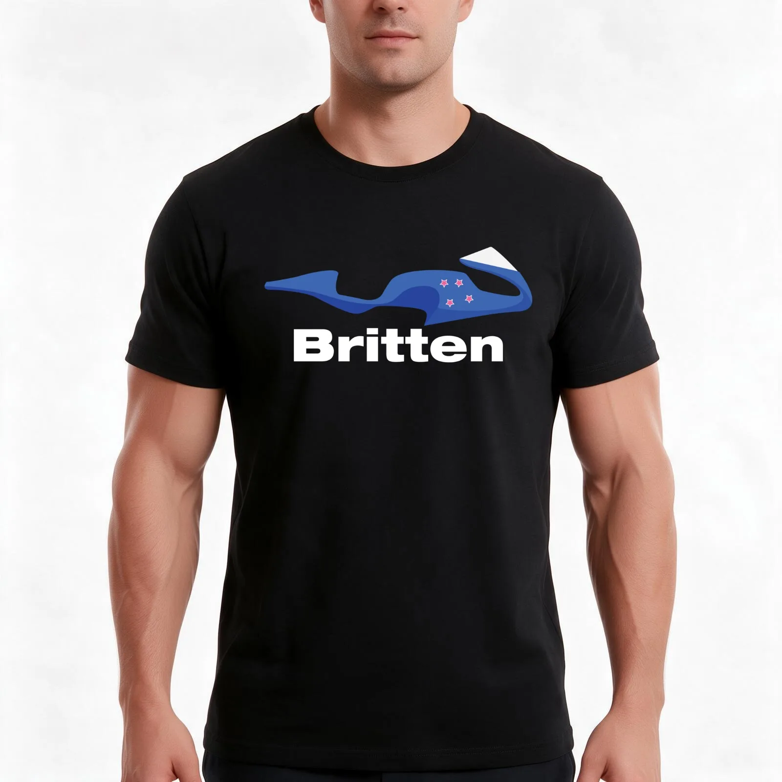 Britten V1000 - Top Fairing with Logo T-Shirt, Summer Casual Cotton Tee, Oversized Streetwear Tops, Vintage Graphic Print