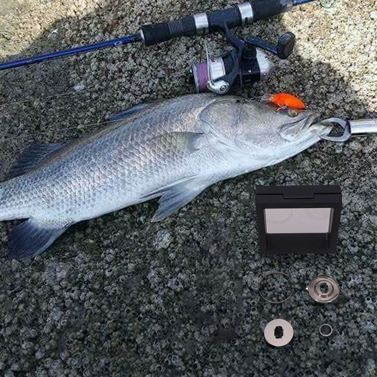 For Abu For DAIWA Fishing BaitCasting Reel Fishing Reel Alarm Fishing Equipment Upgrade Customizable Fishing Reel Accessory