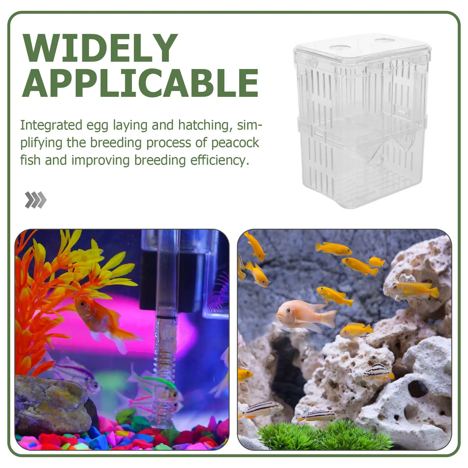 clear floating box for fish tank Large Multi-Chamber Holding & Breeding Aquariums - Hatchery with 3 Compartments, Design, Acrylic, Easy to Install Hanging on the external fish tank wall Waterbox CLEAR MINI 16 Lid