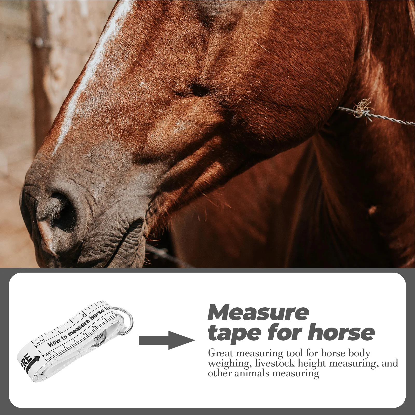 شريط قياس الحصان المحمول صغير الحجم زر الضغط تخزين أداة قياس مرنة دقيقة لاستخدام المزرعة الحيوانية #6