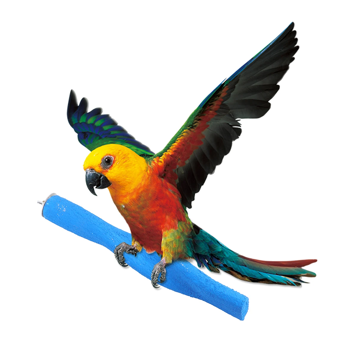 

Scrub Stick Parakeet Bird Perch Cage Grind Arenaceous Birds Stand Birdcage Accessories