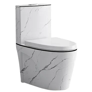 

z Wholesale custom washroom strong flushing sanitary ware toilet bathroom gold line marble floor mounted one piece ceramic toil