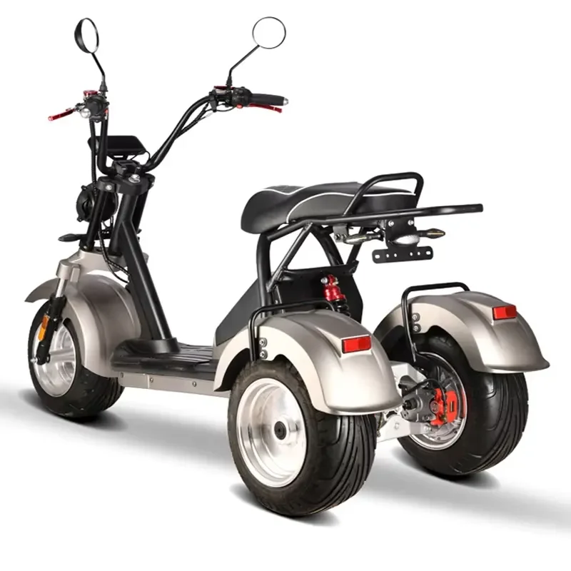 STROVAN Removable Lithium Battery 3 Wheel Electric Scooters EEC New Design Model HM-7 4000W Powerful Motor Engine Electric