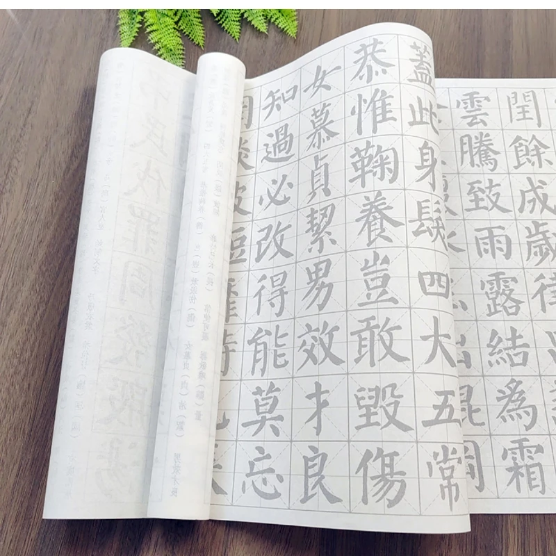 Yan Zhenqing skrip biasa kaligrafi buku salinan karakter Tiongkok profesional latihan melacak buku salinan perlengkapan seni pemula