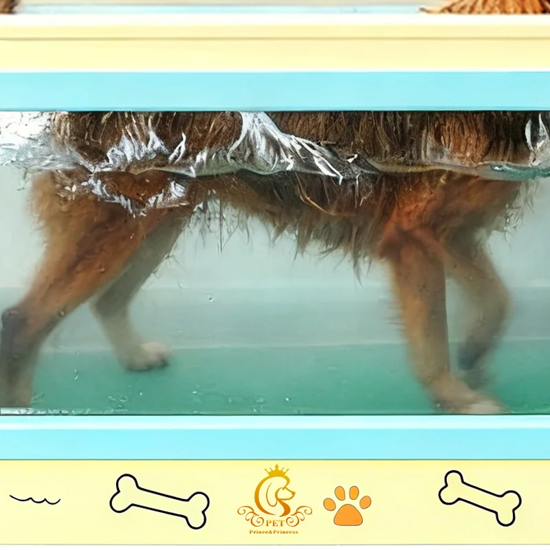 PET New Design Stainless Steel Hydrotherapy Treadmill Underwater Bath Accessory Drainer For Outdoor Gym Use