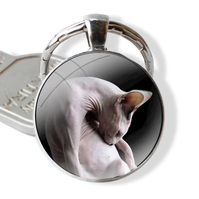 sphynx cat Keychain Handmade Glass Cabochon Key Ring Holder Pendant Key Chains