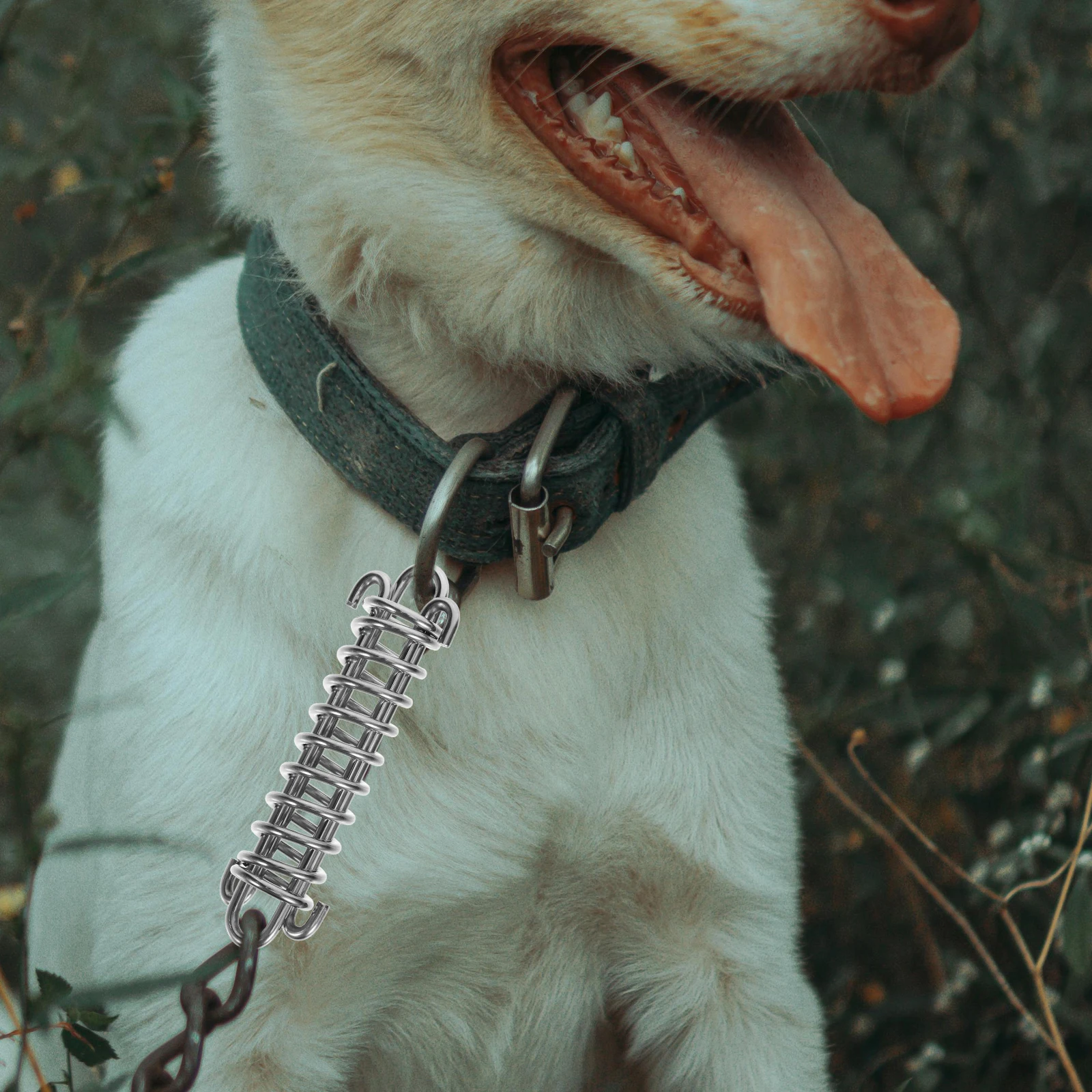 

Stainless Steel Dog Chain Spring Accessories Pet Leash Metal for Dogs Shock Springs Tie Out Cable Heavy Duty
