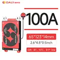 BMS 100A RS485CAN