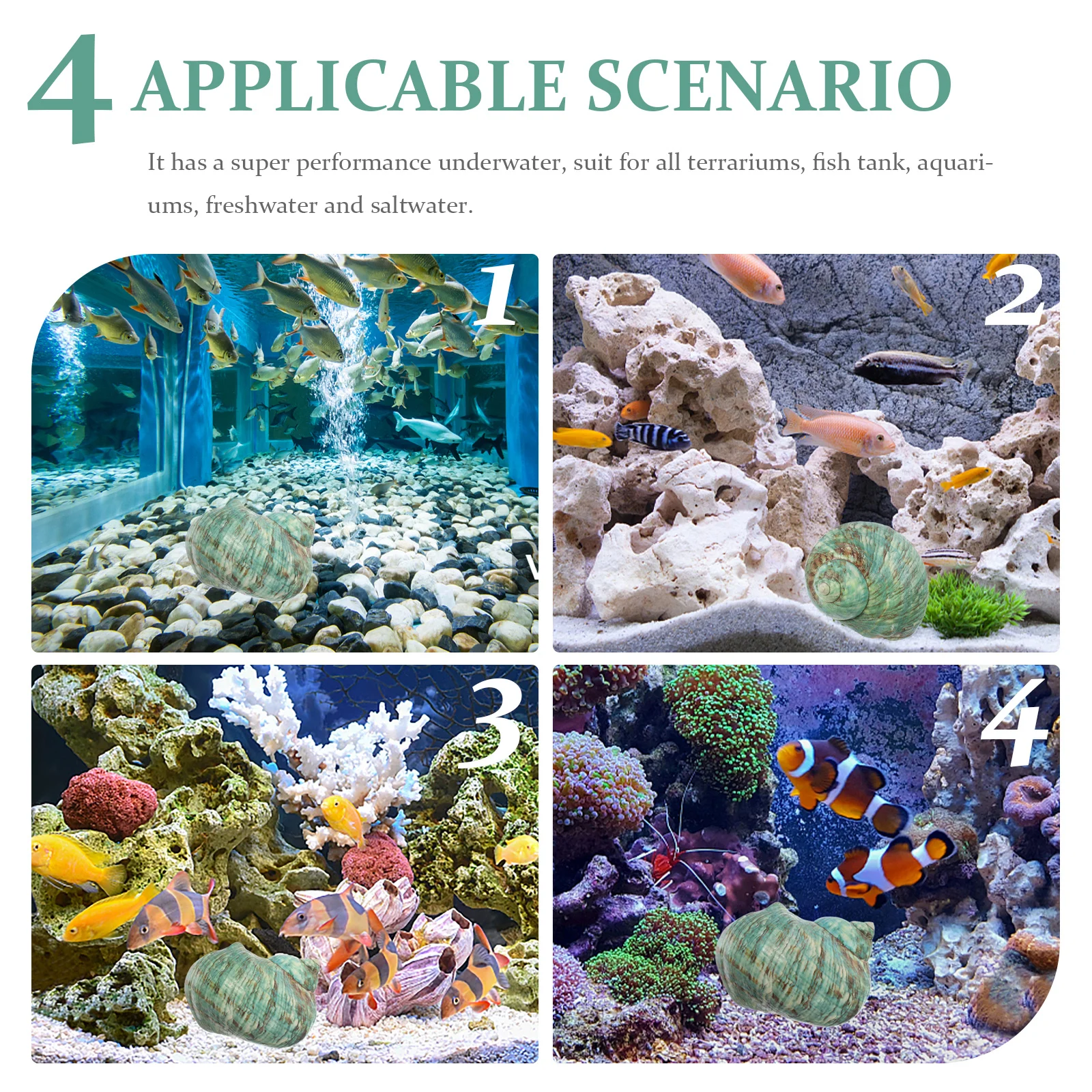 

Aquarium Shell Landscaping Decor Natural Sea Conch Micro Landscaping Adornment DIY Material Crafts Conch Handicraft Shell Set