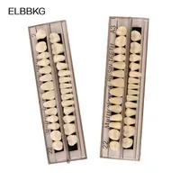 28teeth Resin Denture Teeth Comparator Mirror Dentistry Bleaching Dental Plate Research On Dental Education Model