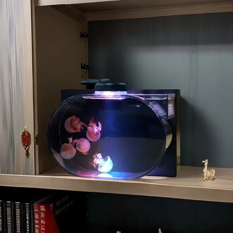 

Desktop viewing small aquarium simple small fish breeding box transparent fish tank fish tank aquarium