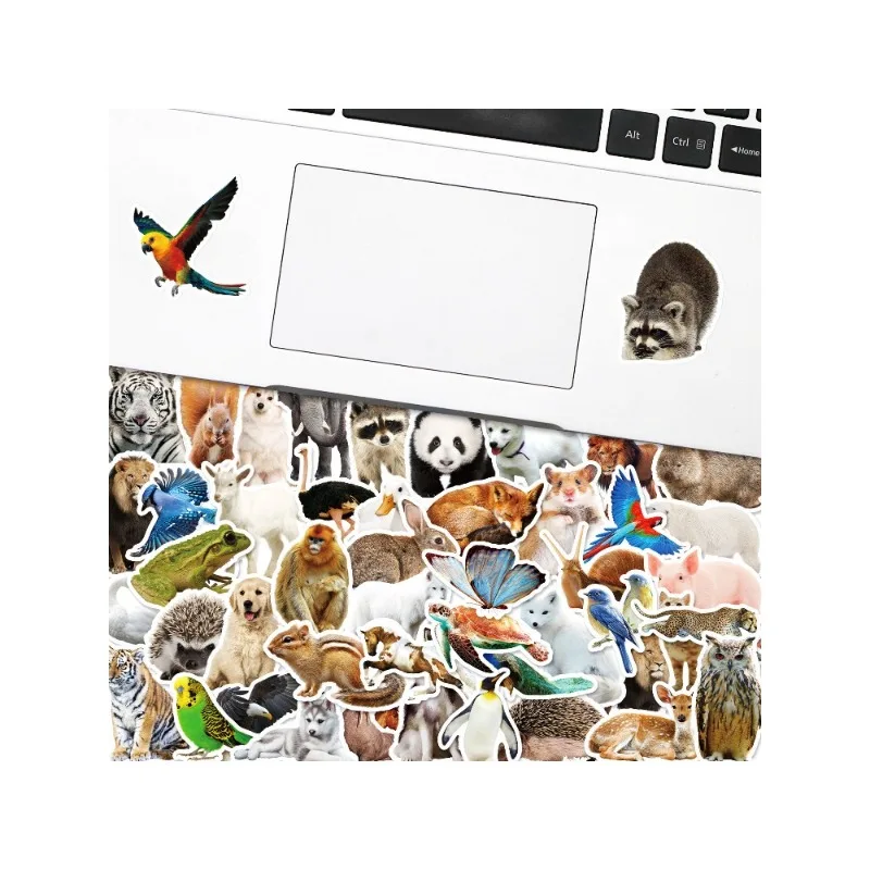 50개 만화 캐릭터 동물 창의적인 그래피티 장식 스티커