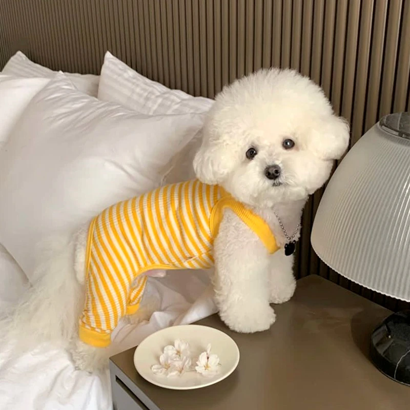 Sarı Çizgili Köpek Giysileri Yaz Ince Bodysuit Pet Nefes Taşıyıcı Pantolon Teddy Bichon Frise Dört Bacak Elbise