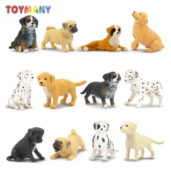 12Pcs Toymany Mini Dog Animal Figures Simulation Pet Model Toys for Kids Children Gift Set Collectible Dolls Figurines