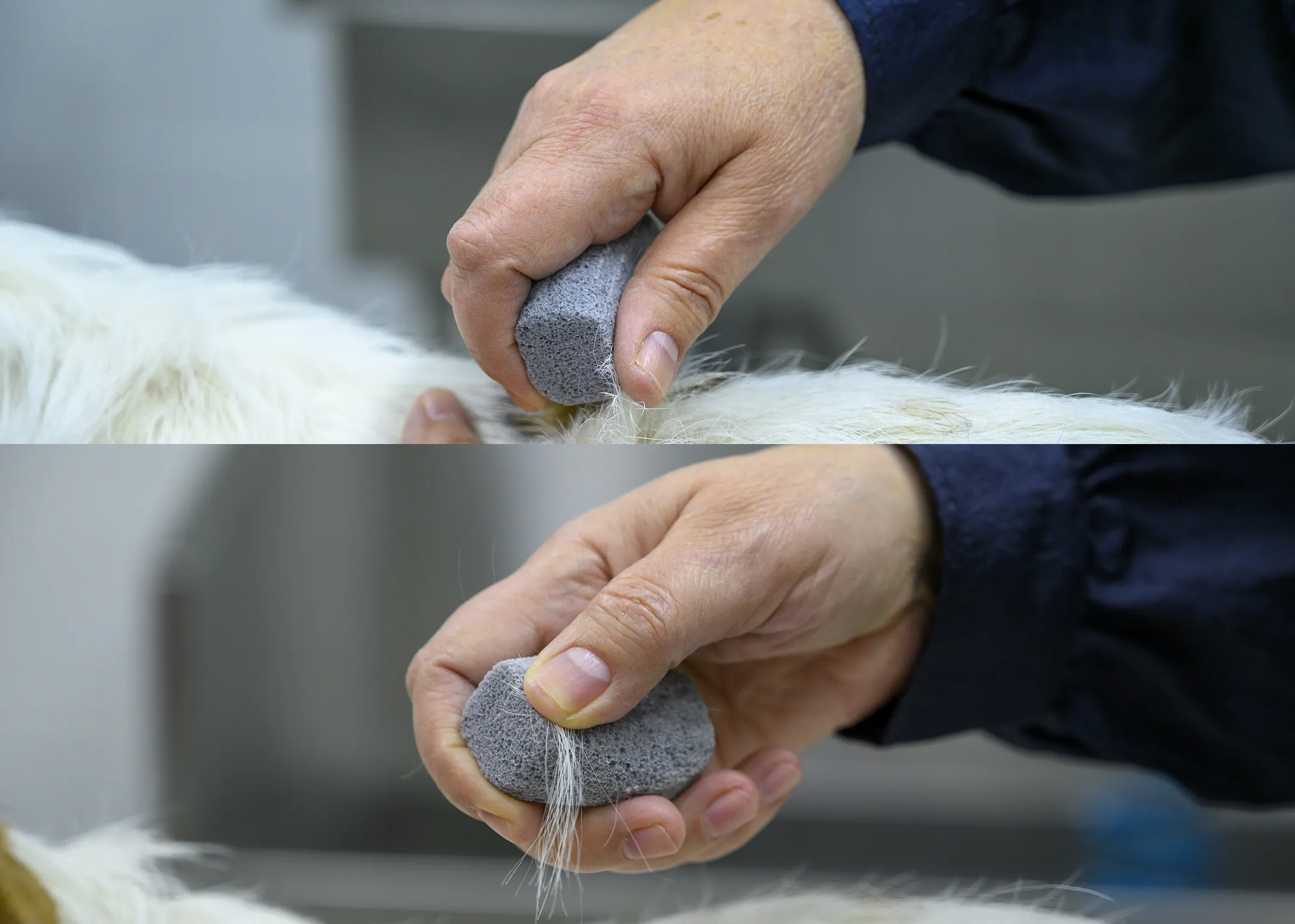 2026 New Pet Grooming Pumice Trimming Stone for Terrier, Grooming Tool for Removing Dog Undercoat and Back Hair
