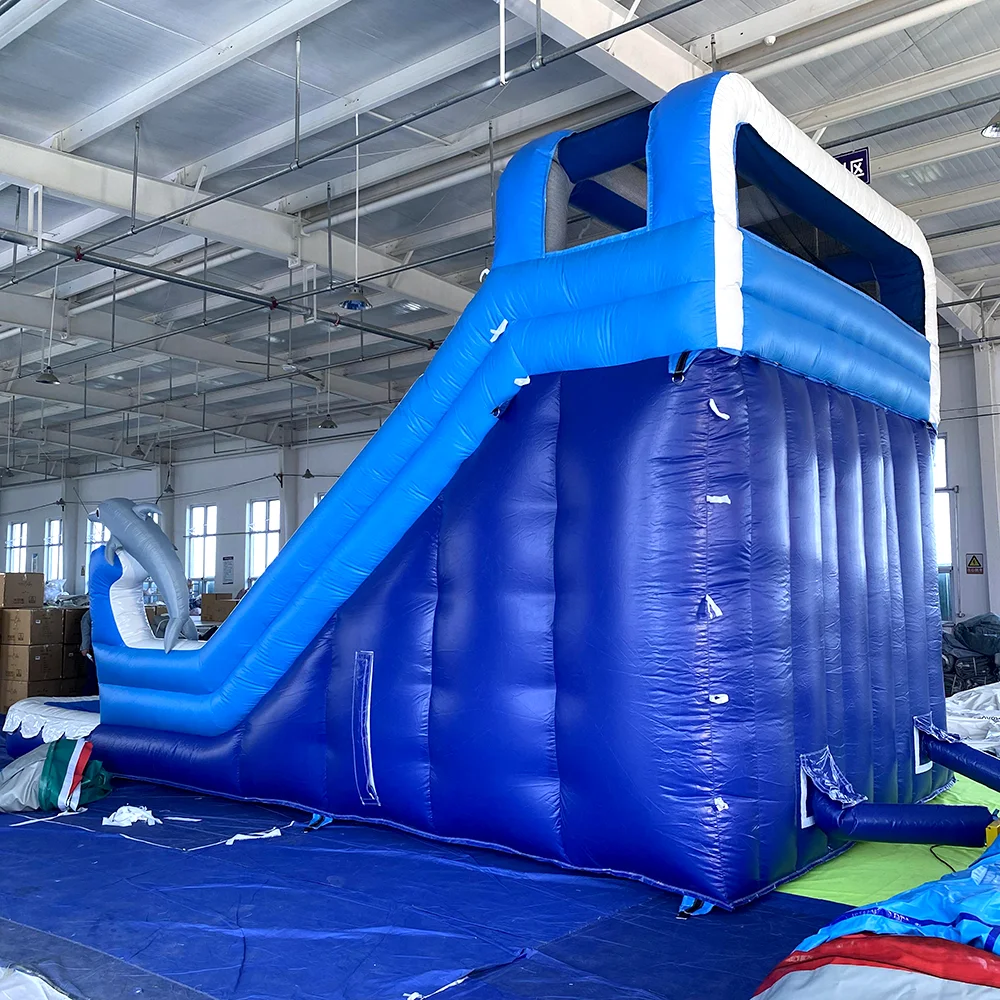 Commercial Giant Inflatable double Water Slide Dolphin Pool Slide Inflatable bounce house With Pool For Adult kids free air ship