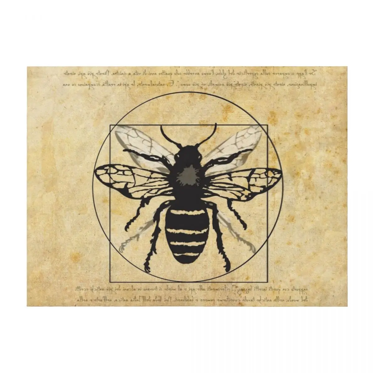 

Vitruvian Bee Throw Blanket Single Bed linens Decorative Sofa Bed Blankets