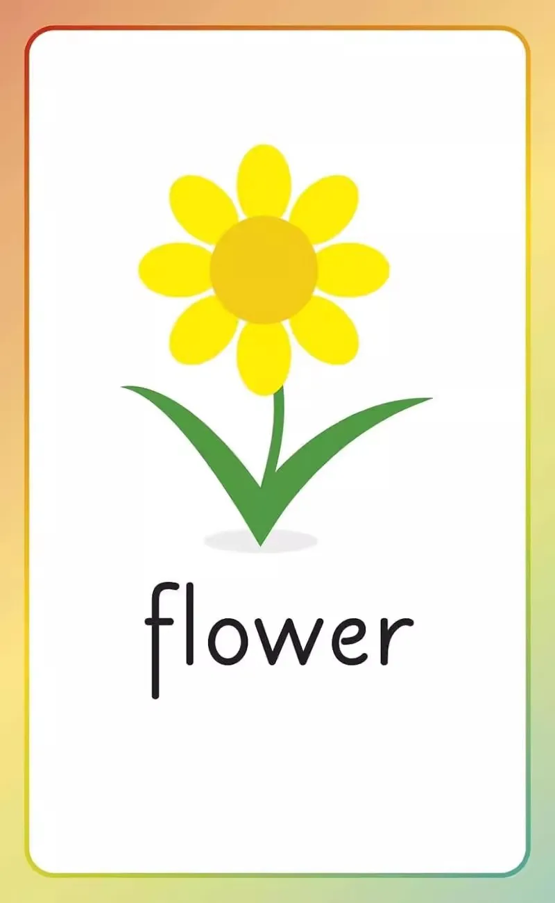 English for Everyone Junior English Alphabet Flash Cards Everyone Learns English Enlightenment Book