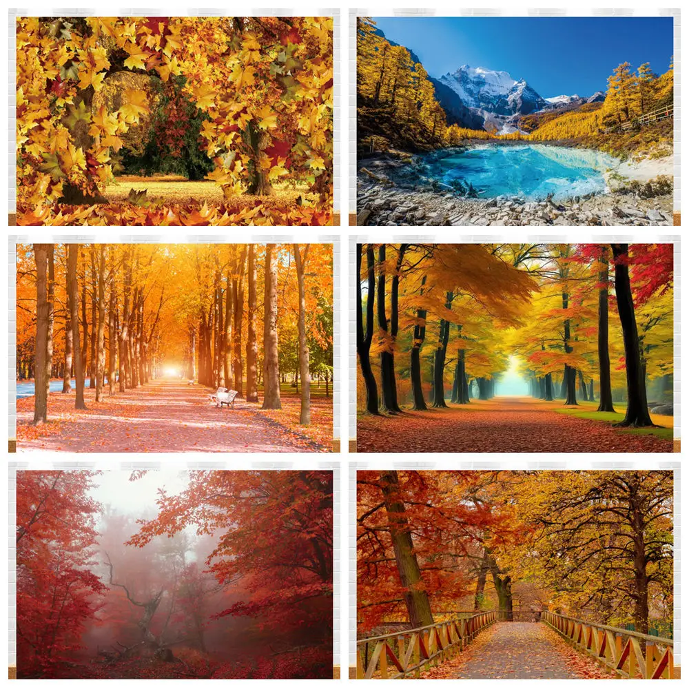 

Autumn Forest Backdrop for Photography Fall Maples Leaves Tree Sunshine Natural Scenery Baby Portrait Photo Background Decor