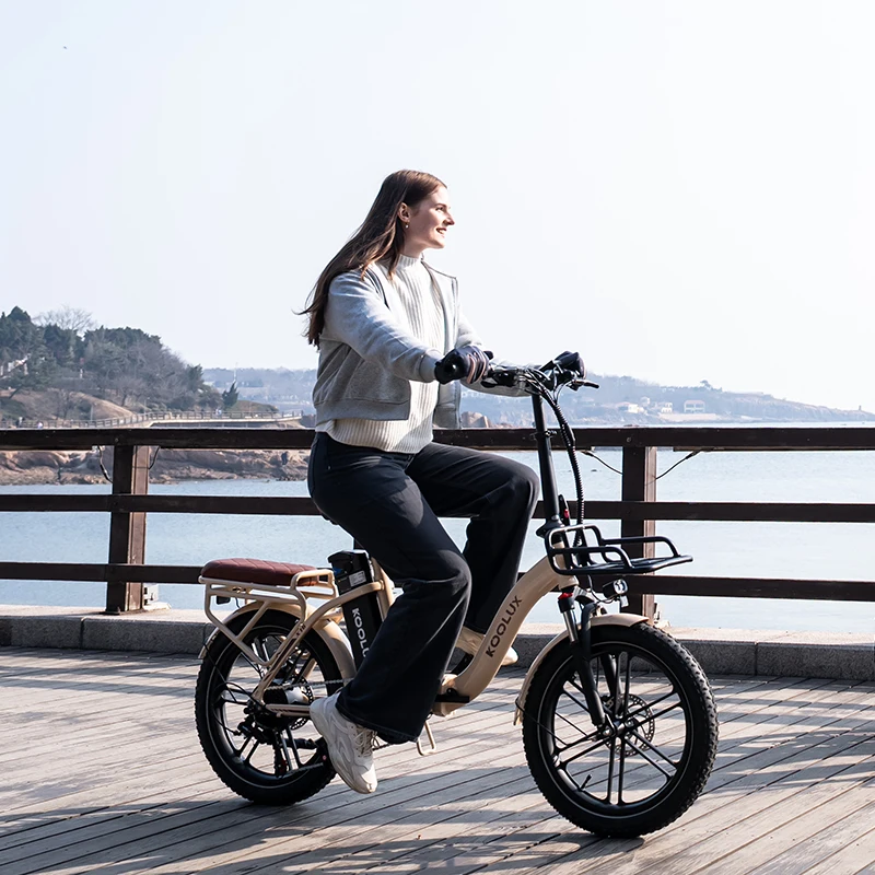 X16 Foldable Adult Electric Bike 20inch Fat Tire 7 Speed 48V 250W Lithium Battery Brushed Rear Hub Motor Long Range